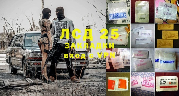spice Липки