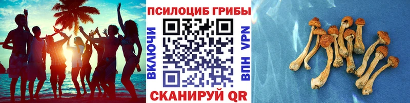 Купить закладки  Бикин  Галлюциногенные грибы мухоморы 